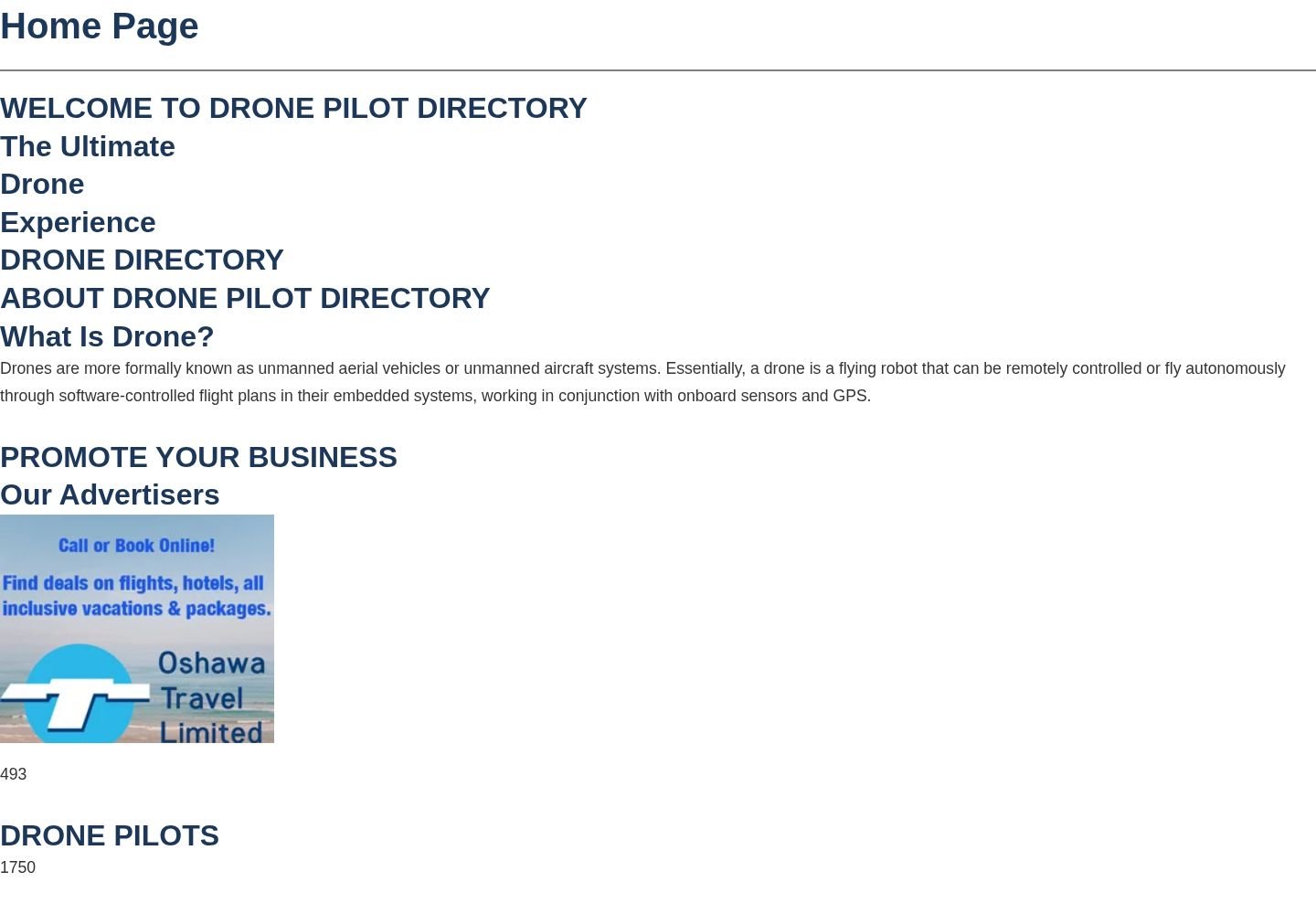 Drone Pilot Directory website project