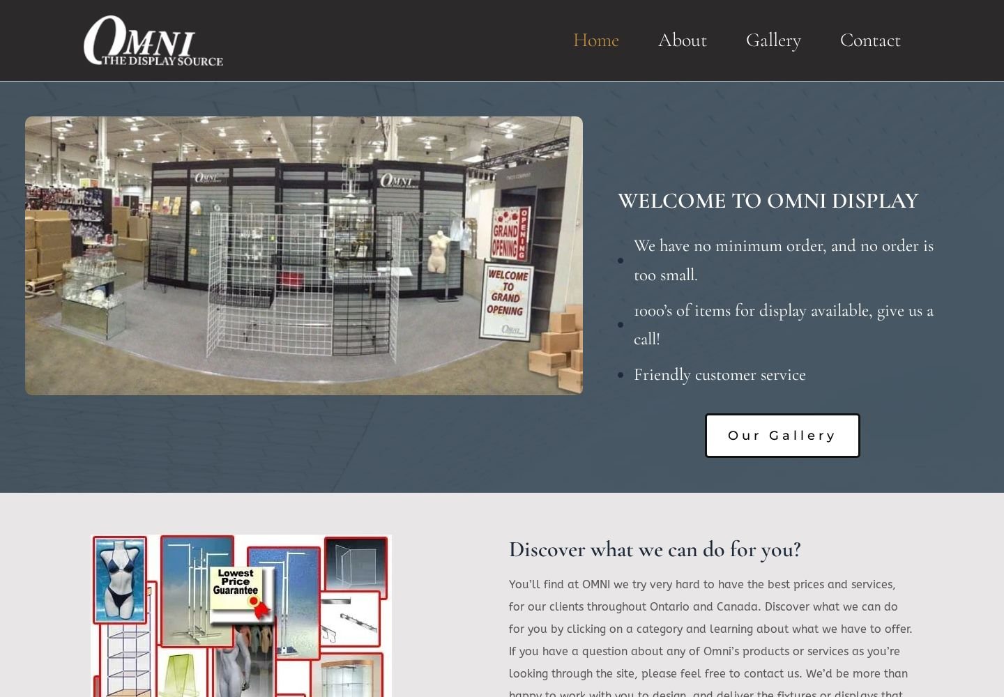 Omni Display website project