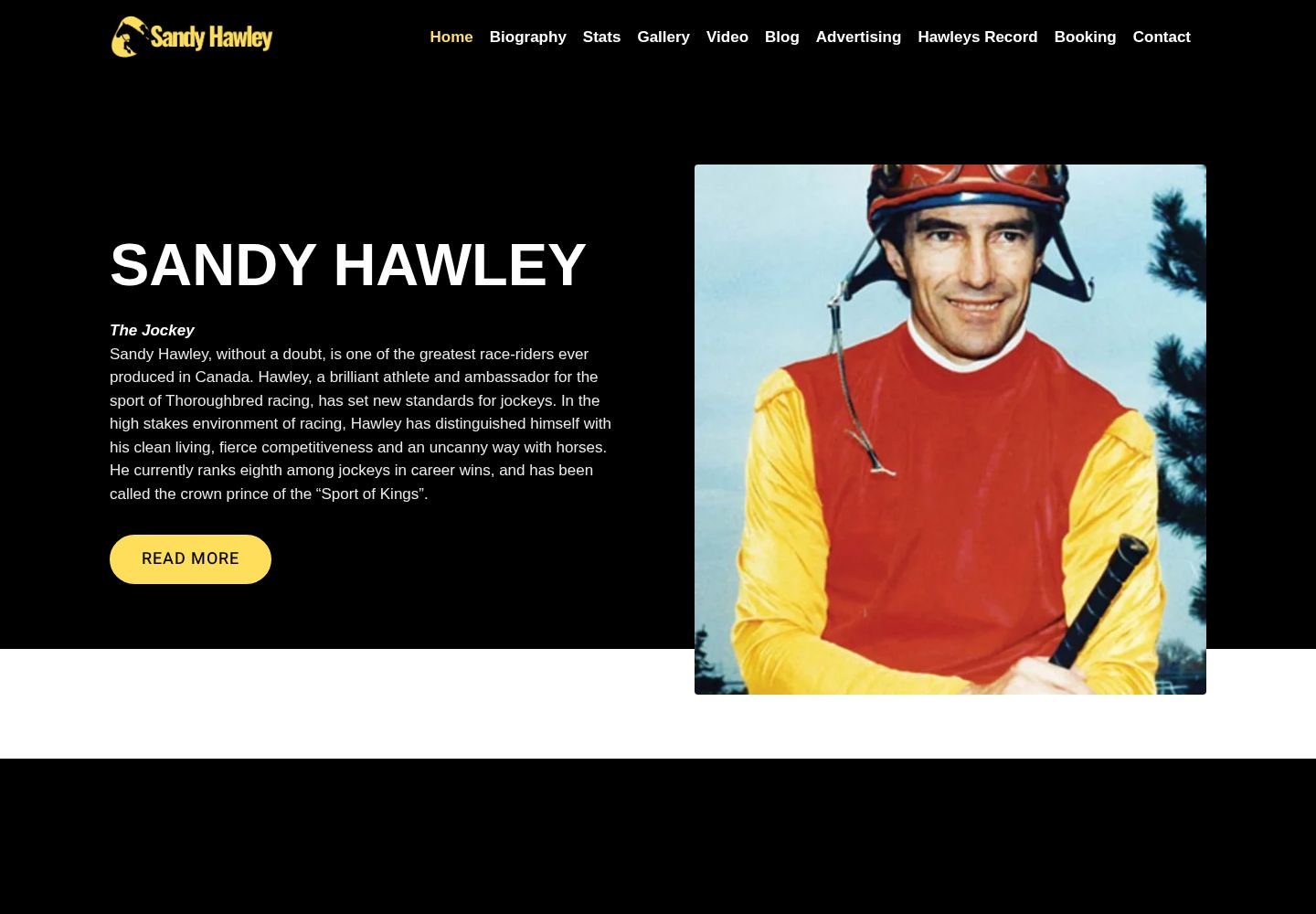 Sandy Hawley website project