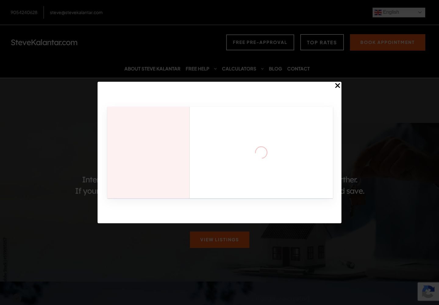 Steve Kalantar website project