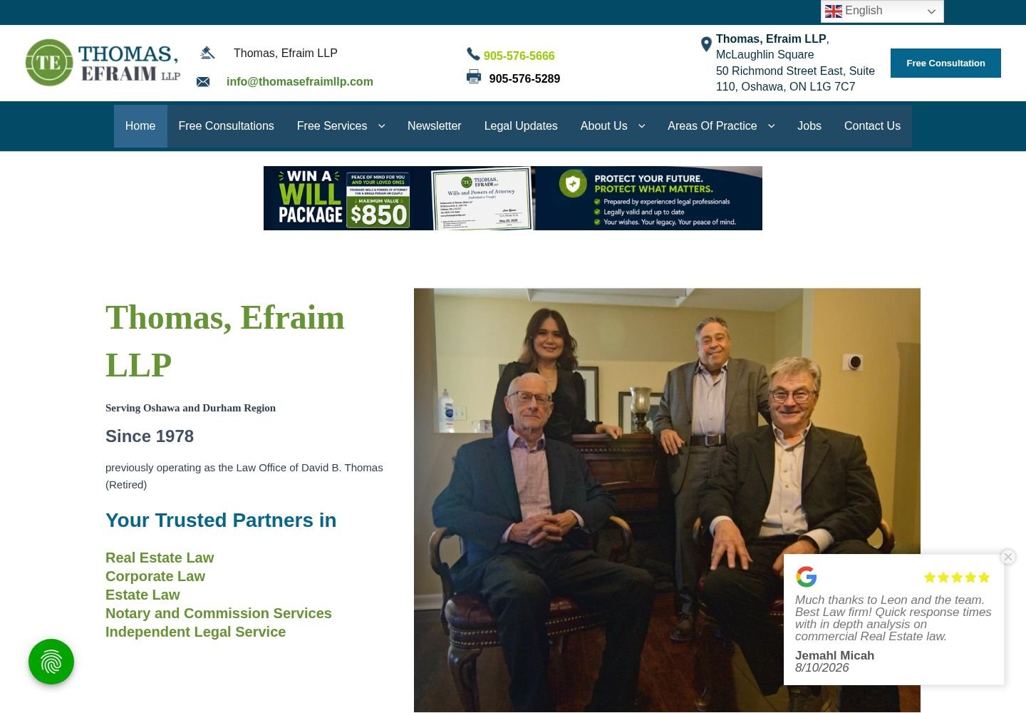 Thomas Efraim LLP website project