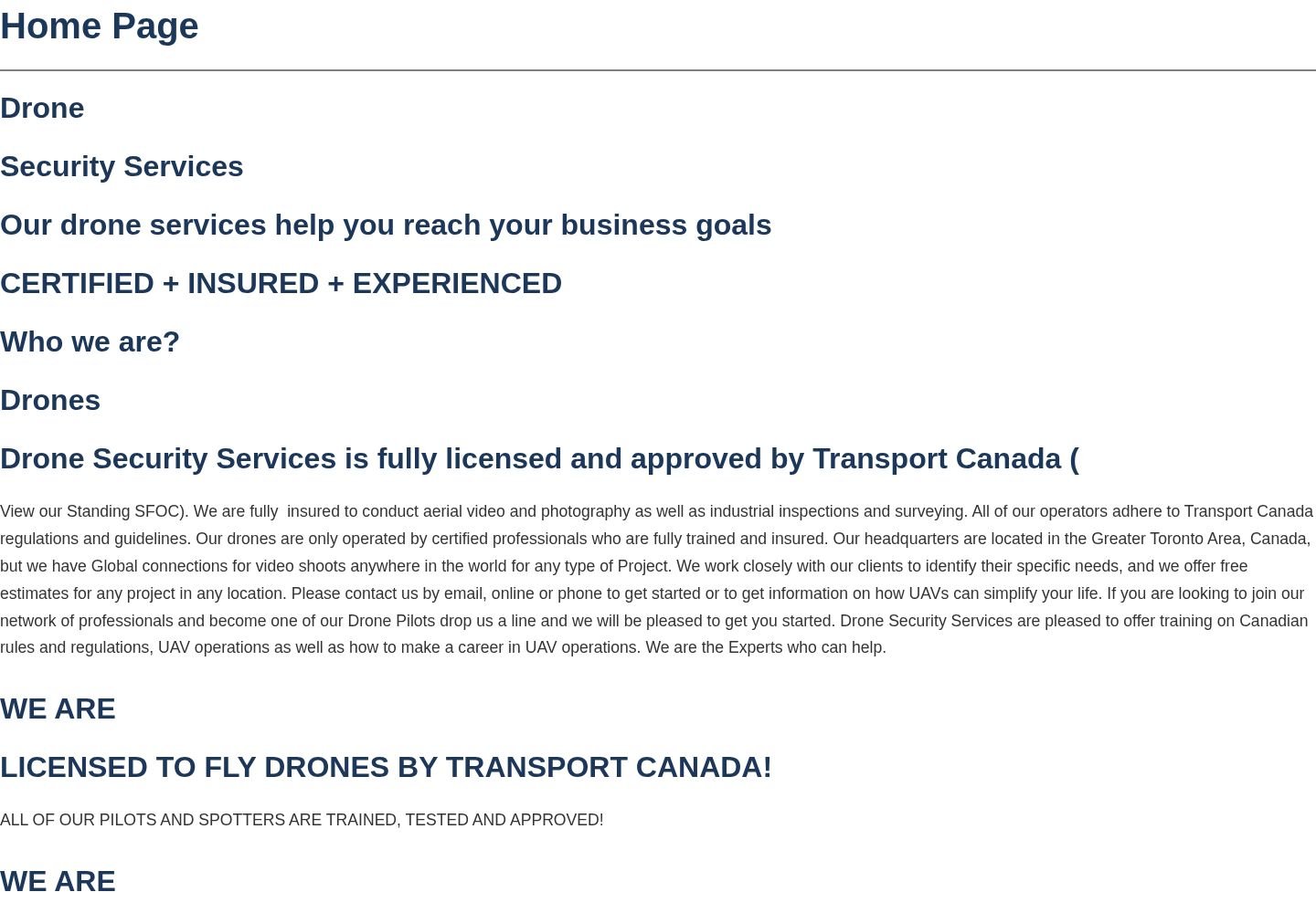Drone Security Services website project