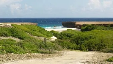 Aruba Beaches 931.jpg