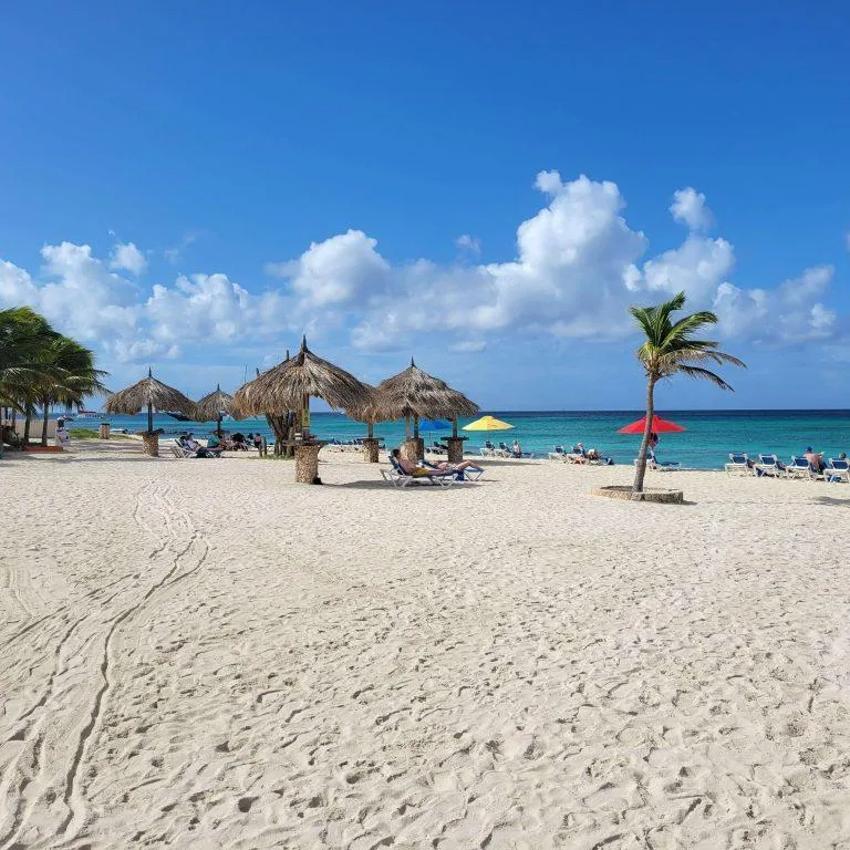 Aruba Beaches Aruba Beaches Arashi Beach 2022 01 12 2 1 1 768x768.jpg