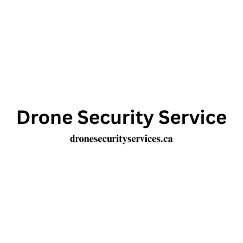 Drone security service