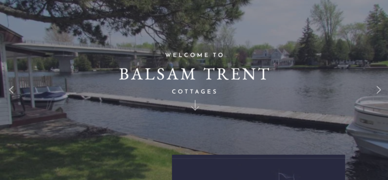 Screenshot 2026 02 02 011438 768x358