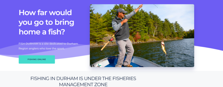 Screenshot 2026 02 15 022949 768x302