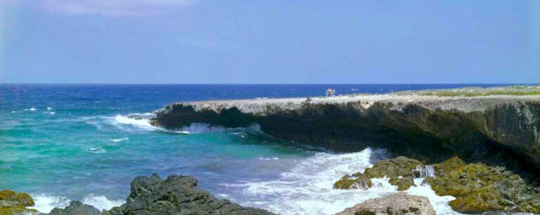 Aruba Beaches boca druif 768x307 1