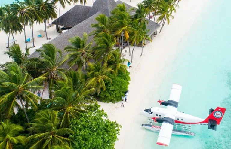 Coburg Beach c7971ee32d599058b59e224d72294799 1430x924x0x0x1430x924x1705777629 768x496