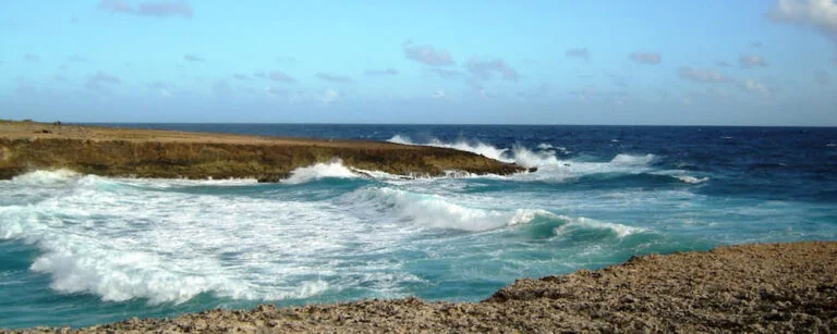 Aruba Beaches daimari beach 768x307 1