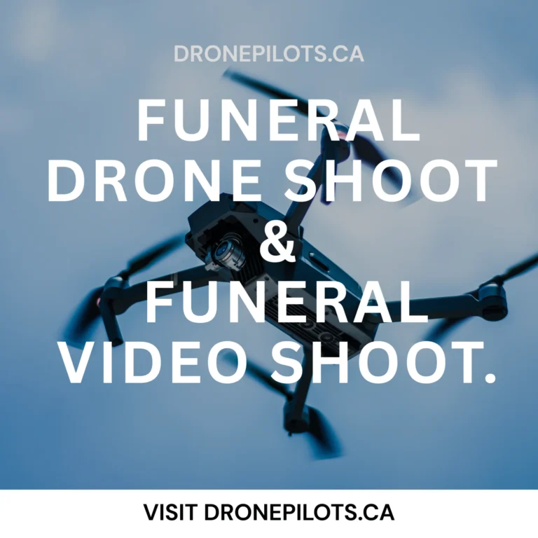 dronbepilot4 2048x2048 1 768x768