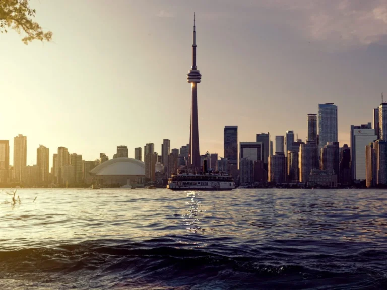 pexels andre furtado 2773225 scaled 1430x2144x0x514x1430x1072x1704000588 768x576