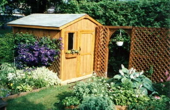 shed3small 1172x788x0x12x1172x764x1705089713