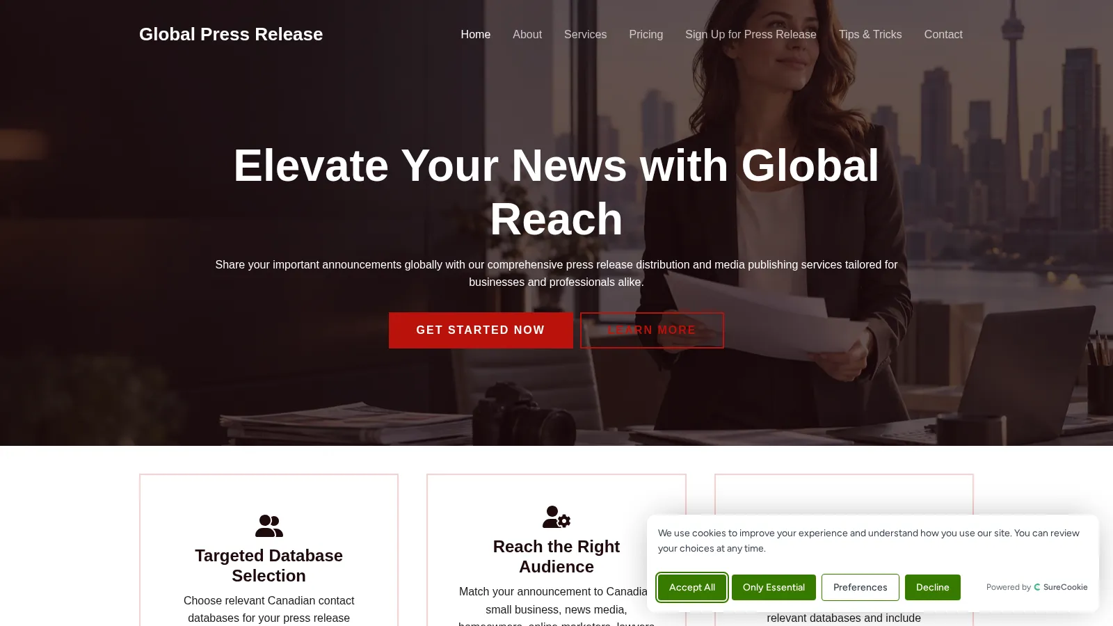 Global Press Releases website project