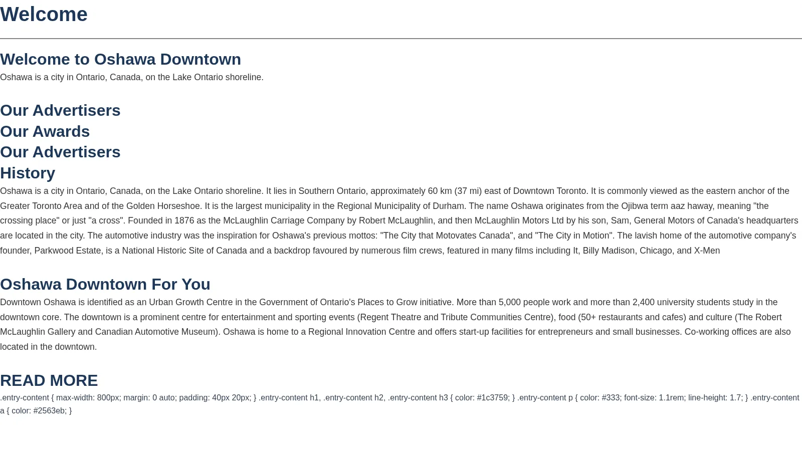 Oshawa Downtown website project