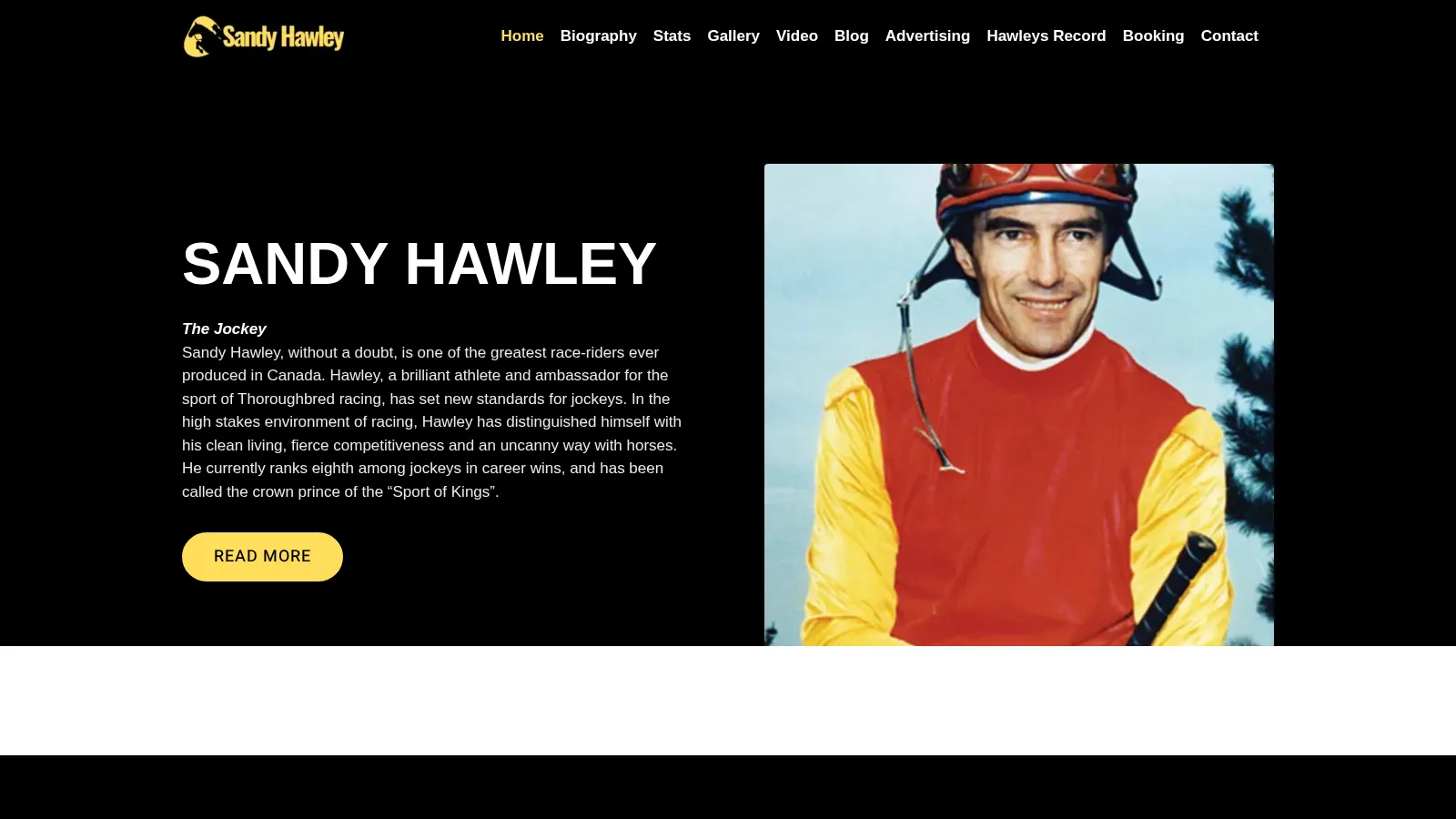Sandy Hawley website project
