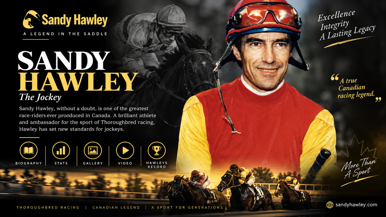 Sandy Hawley website